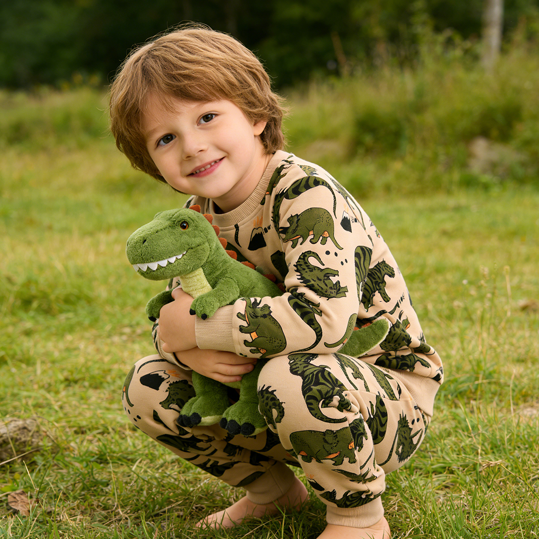 New🔥 Organic Cotton Kids Dinosaur Sweatshirt Set - 2026 Trendy Toddler Outfit