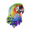 Fantastic Animals Puzzle