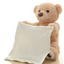 Peek a boo Talking Teddy Bear