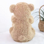 Peek a boo Talking Teddy Bear