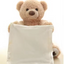 Peek a boo Talking Teddy Bear