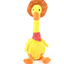 Dancing Duck